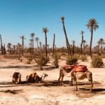 Merzouga Desert – the Sahara (3 days)