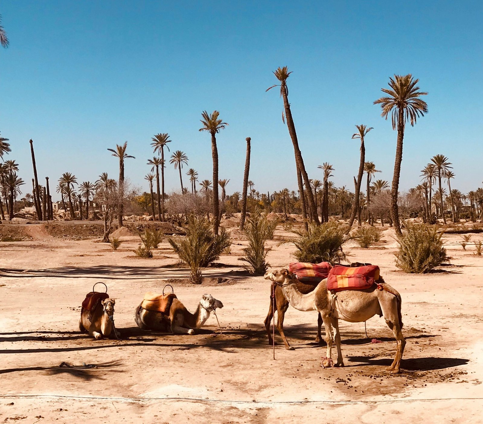 Merzouga Desert – the Sahara (3 days)
