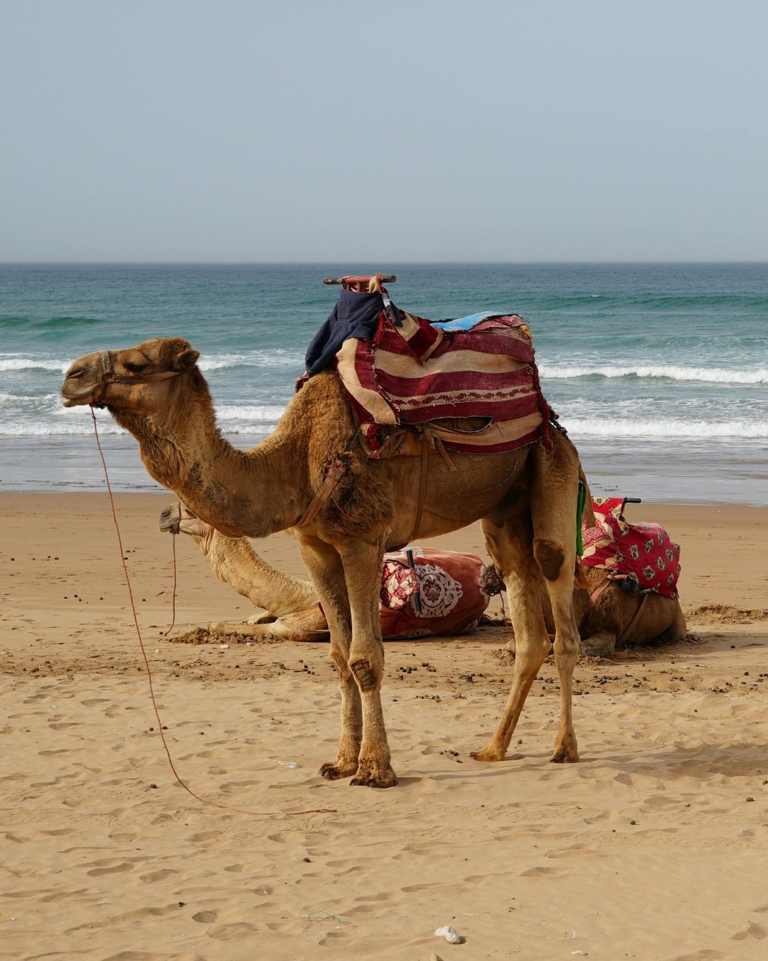 private tours in Morocco